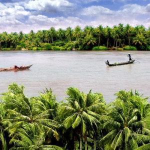kham-pha-con-quy-trai-nghiem-tat-muong-bat-ca-doc-dao-va-thuong-thuc-dac-san-mien-tay-cung-thanh-hang-con-phung