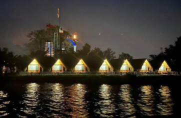 Cồn phụng về đêm 