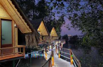 Đêm ở Cồn Phụng